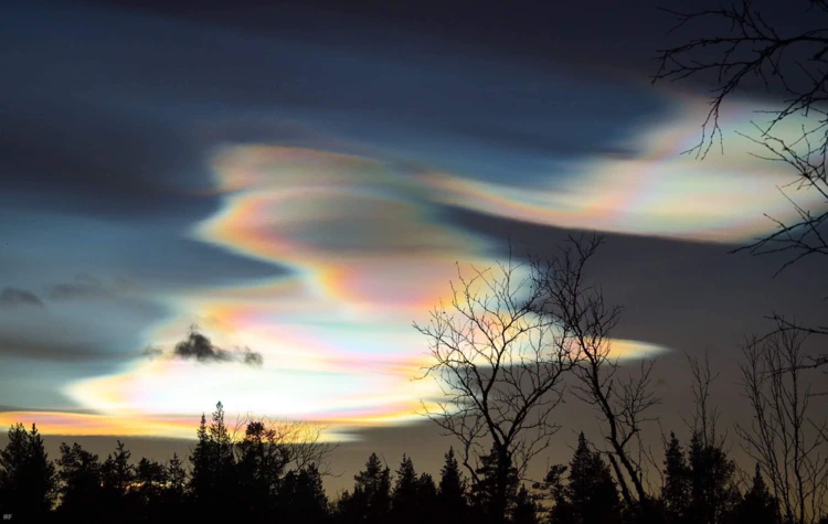 Polarstratosfäriska moln och kala trädkronor